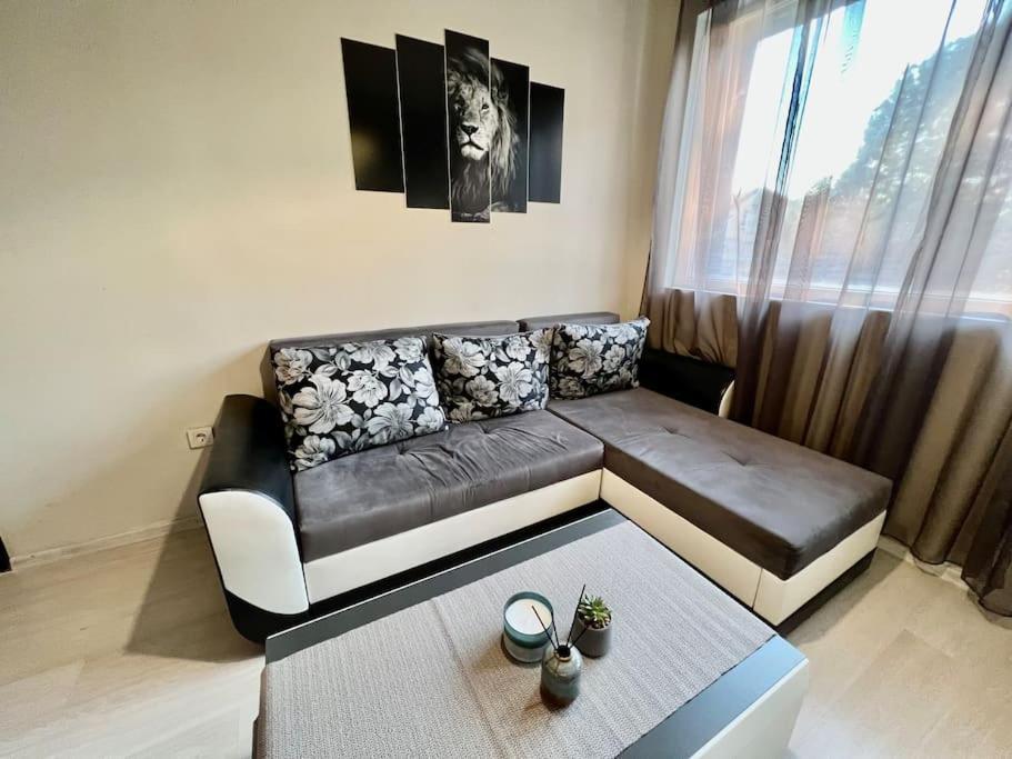 Apartment Sof Apartment's